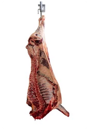 whole beef share (hanging weight)